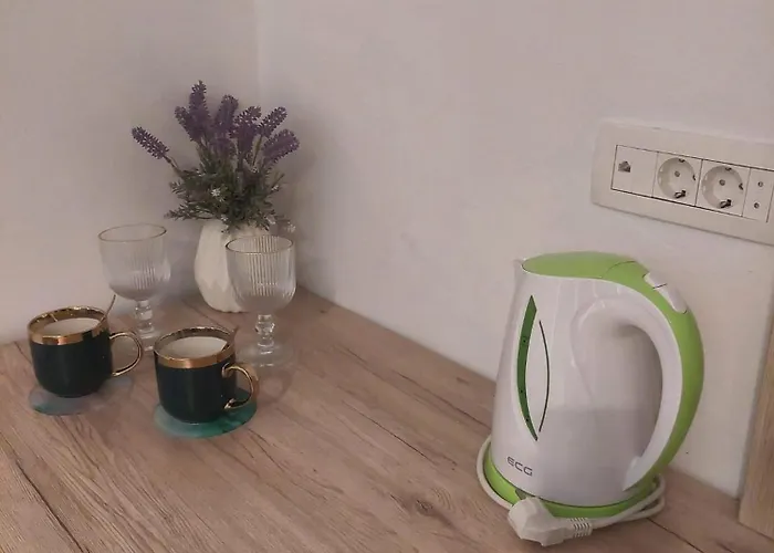 Gostinjska kuća Sea La Vie House *